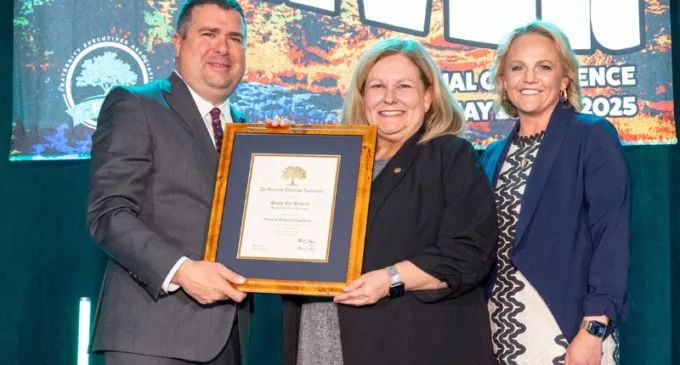 Mandy Womack FEA 800x485